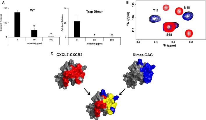 Fig. 1 Multi panel figure showing functional assay, NMR spectrum and structural models for competitive binding of CXCR2 and glycosaminoglycan to dimeric CXCL7 for chemokine molecular mechanism basic research. (OA Literature)