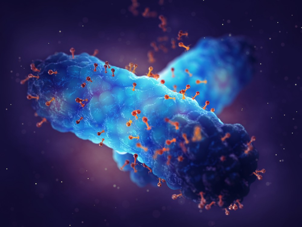The schematic of phages. (Creative Biolabs Authorized).