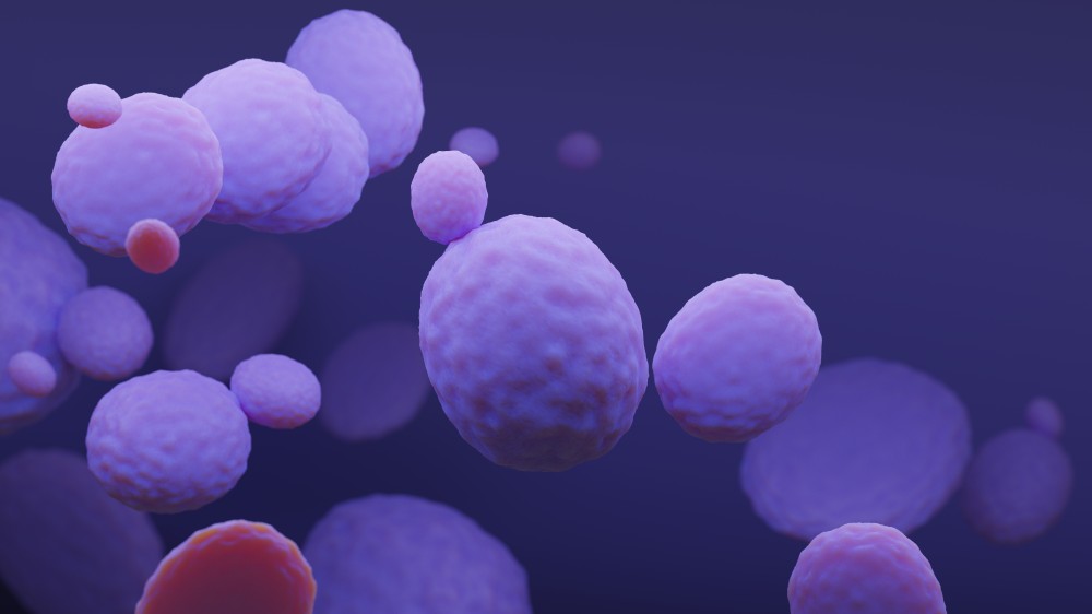 The schematic of yeast. (Creative Biolabs Authorized).