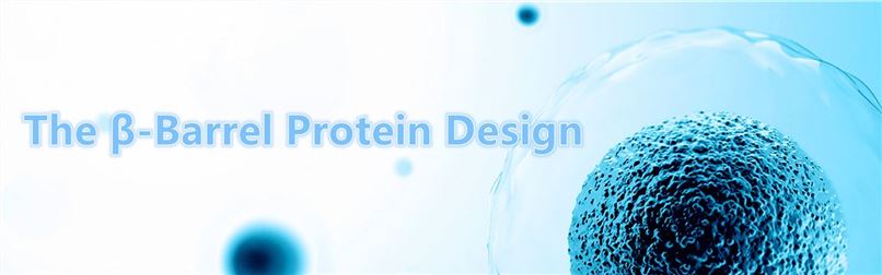 The β-Barrel Protein Design.