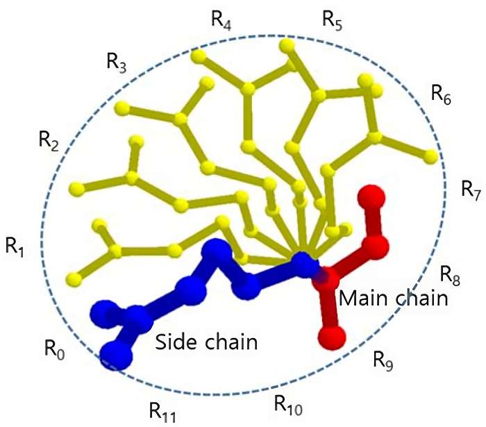 Fig.1 The side chain and its rotamers that are represented by atom center points. (Seo, Ku-Jin and Beom, 2018)