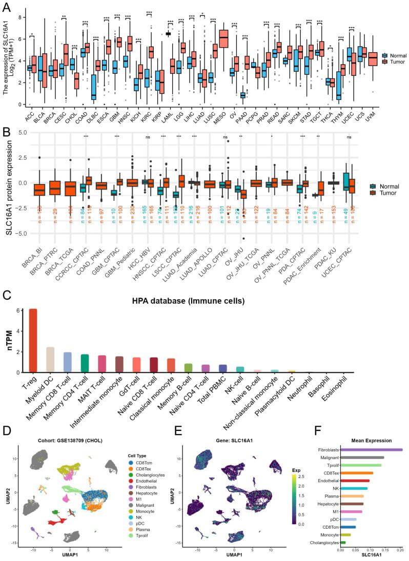 Fig. 1 SLC16A1 expression in cancer. (OA Literature)