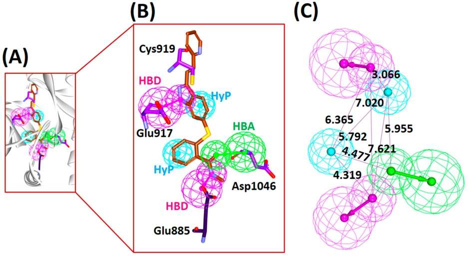 Fig.1 Structure-based pharmacophore model generation. (Rampogu, et al., 2019)