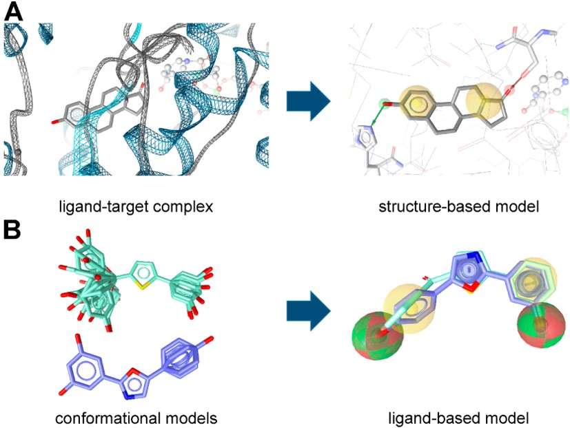 Fig.1 Pharmacophore models can be generated using structure-based and ligand-based approaches. (Kaserer, et al., 2015)