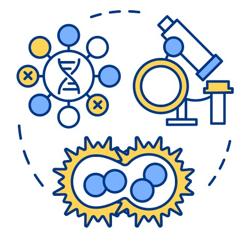 Omni-Hybridoma™ Technology. (Creative Biolabs Authorized)