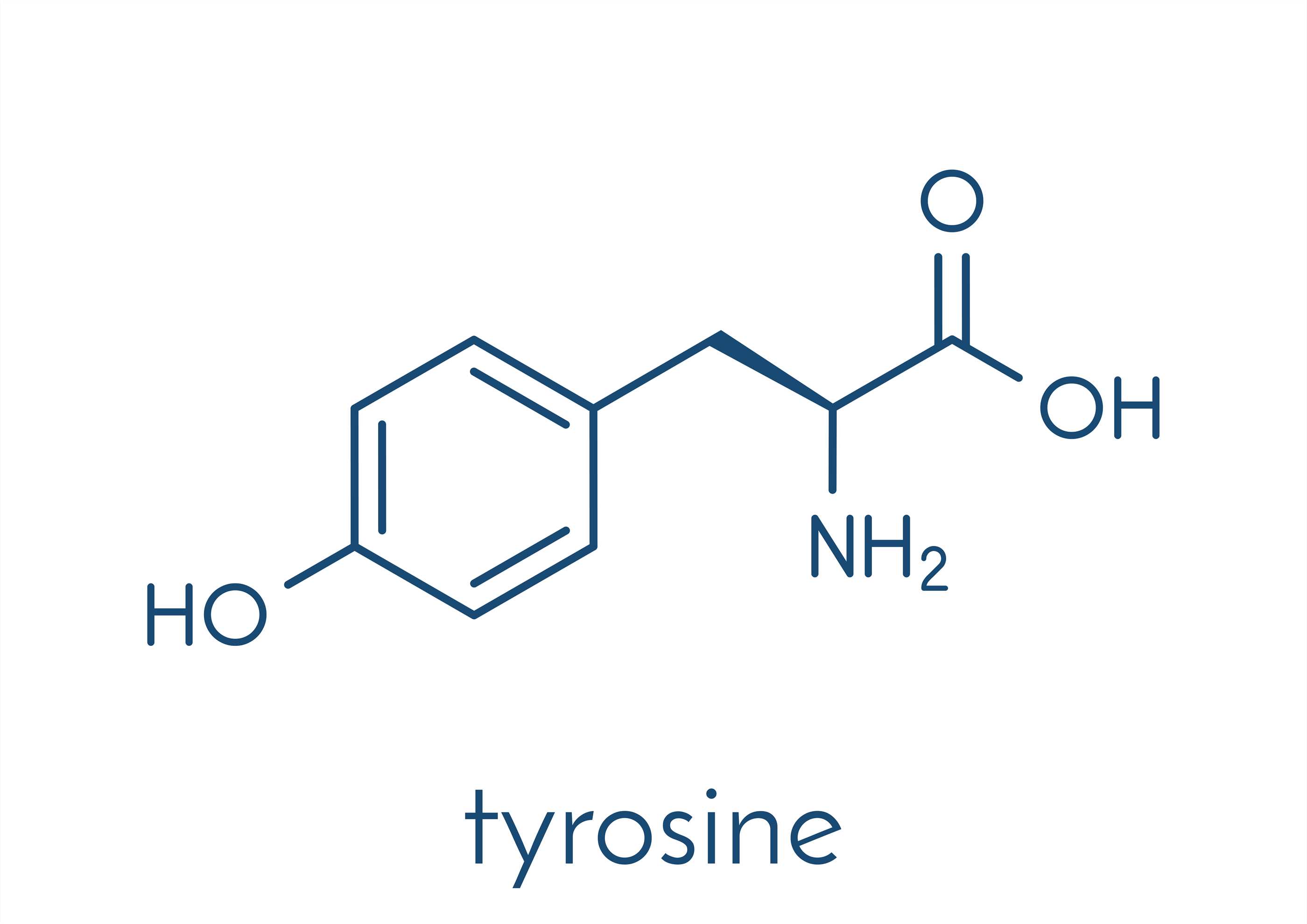Tyrosine Nitration-Specific Antibody Introduction