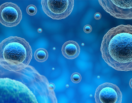 iPSC differentiation (Creative Biolabs Authorized)