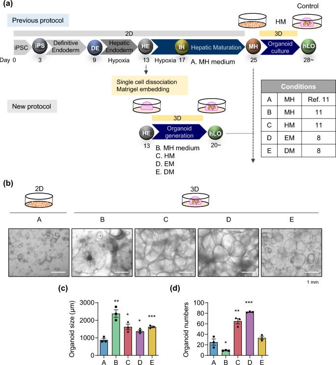 Develop new methods to make the differentiation of iPSCs into liver organoids more standardized in operation. (OA Literature)