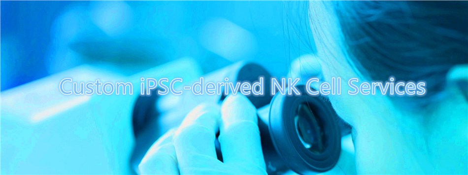 Custom iPSC-derived NK Cell Services.