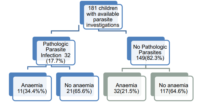 Profile of children with anemia and parasite infection.