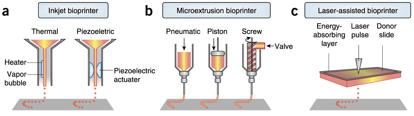 Components of EBB 3D bio-printing.
