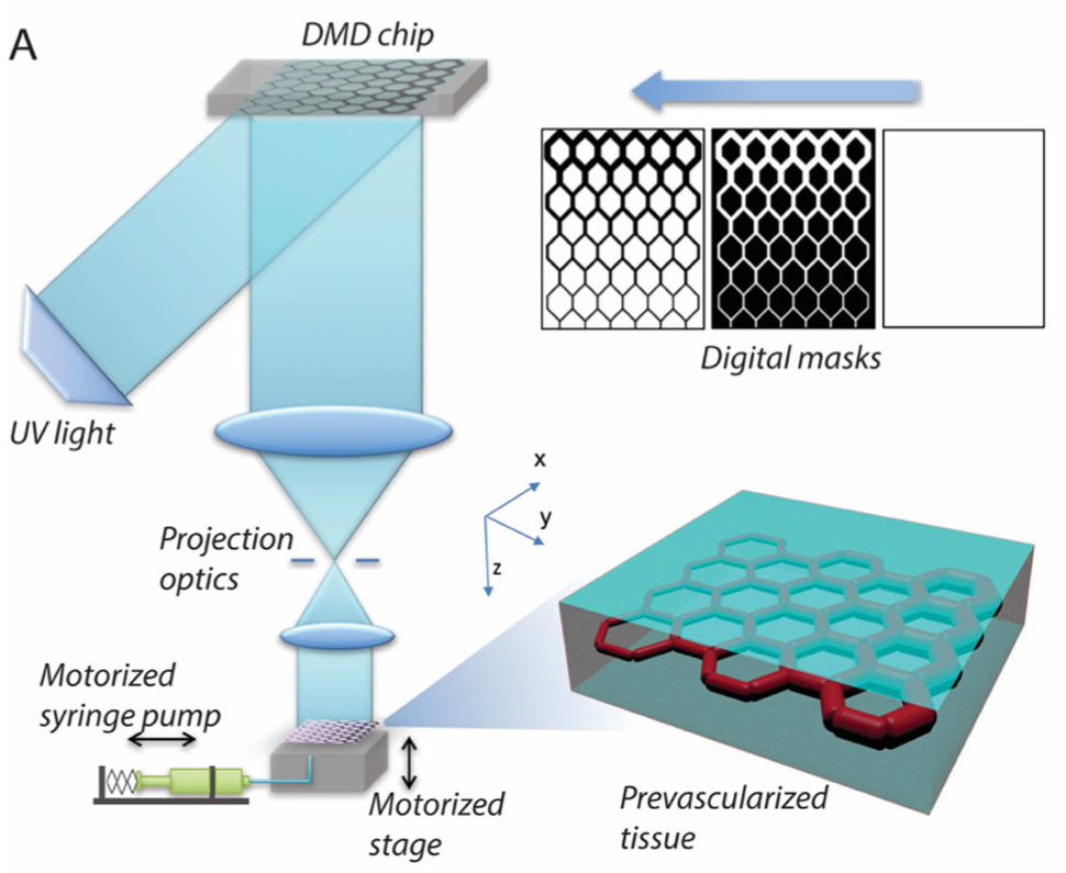 The bioprinting platform of LBB 3D bio-printing.