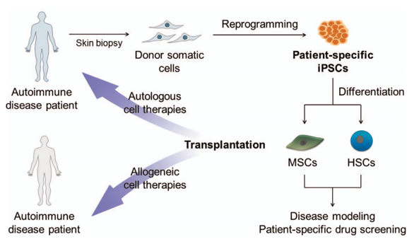 Therapeutic potential of patient-specific iPSCs for the treatment of autoimmune disease.