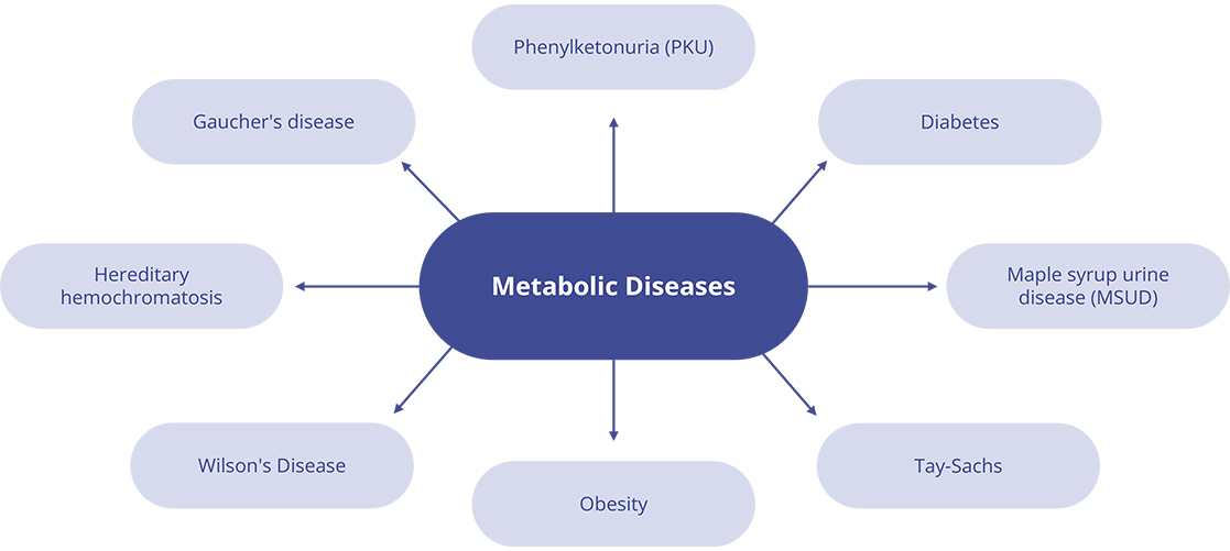Types of metabolic diseases.(Creative Biolabs Original)