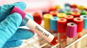 Isolation and Maintenance Protocol (Creative Biolabs Authorized)