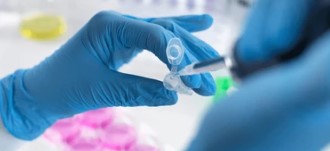 Differentiation Protocol (Creative Biolabs Authorized)