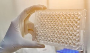 Characterization Protocol (Creative Biolabs Authorized)