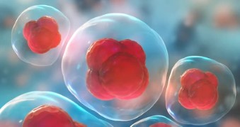 Reprogramming Protocol (Creative Biolabs Authorized)