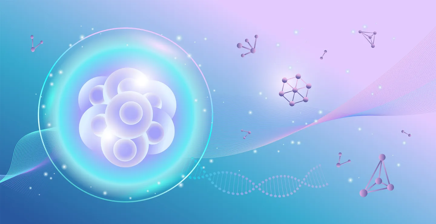 Custom iPSC-derived cell services. (Creative Biolabs Authorized)