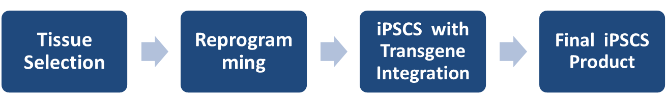 Schematic workflow of iPSC Reprogramming.
