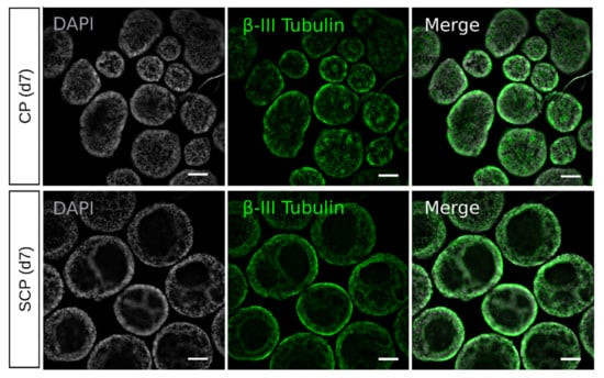 Whole-EB imaging. (OA Literature)