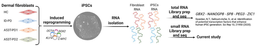 The reprogramming of human fibroblasts into iPSCs. (OA Literature)