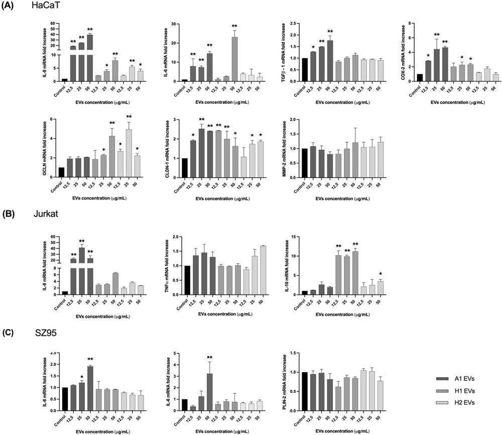 Figure showing RT-qPCR expression of inflammatory and lipid-related markers in sebocyte models exposed to Cutibacterium acnes extracellular vesicles