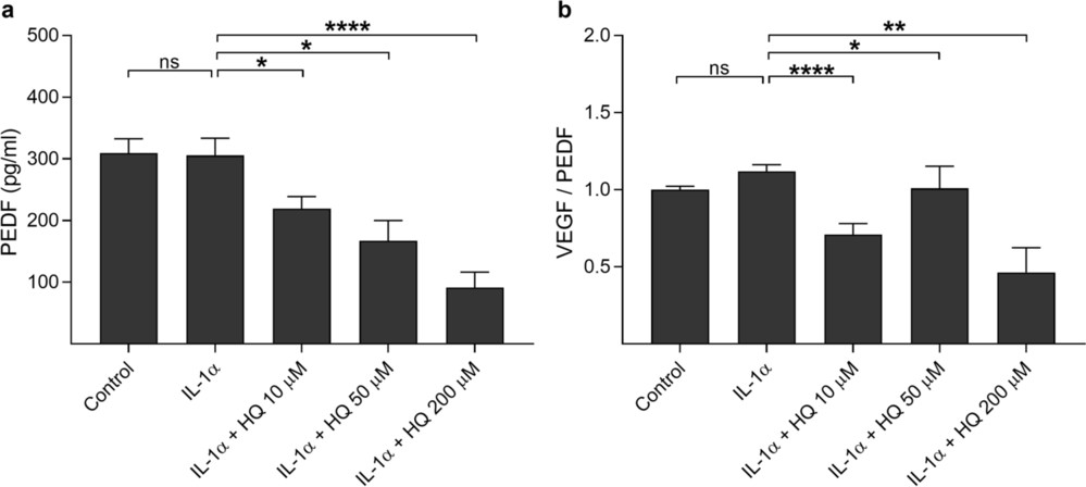 Figure showing PEDF secretion and VEGF to PEDF ratio under hydroquinone exposure in inflammatory RPE conditions