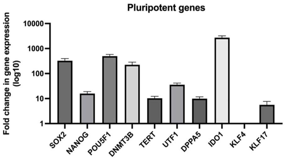 qPCR analysis of pluripotency gene expression in iPSC. (OA Literature)