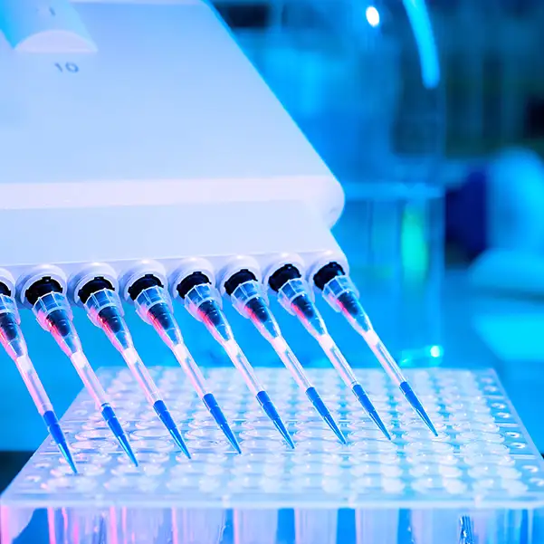 Pluripotent characterization service image