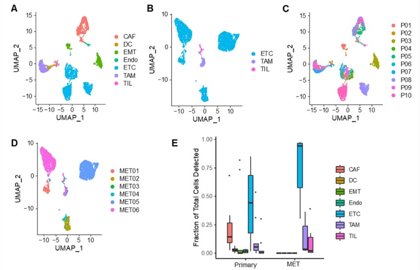 Fig.1 Cell identification by single-cell RNA seq.