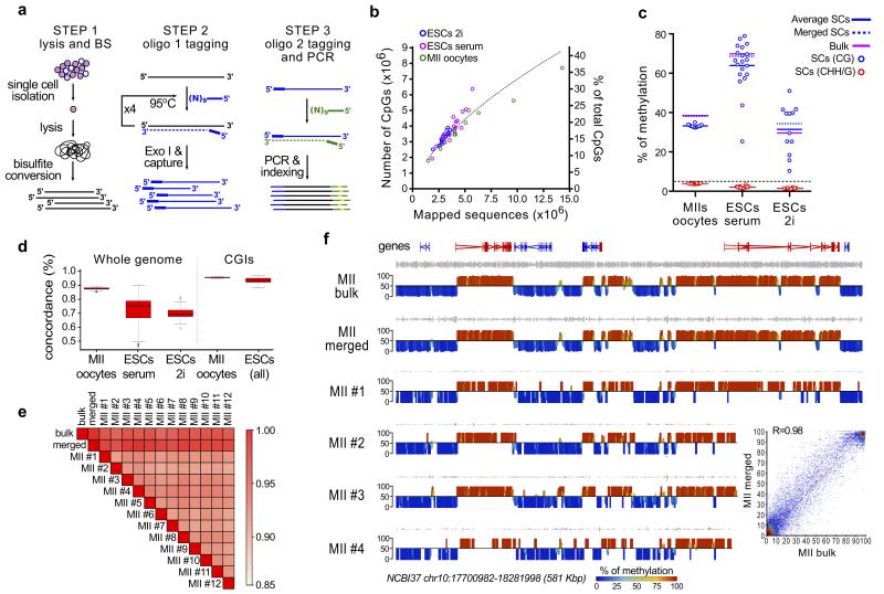 Single-cell bisulfite sequencing is an accurate and reproducible method for genome-wide methylation analysis.