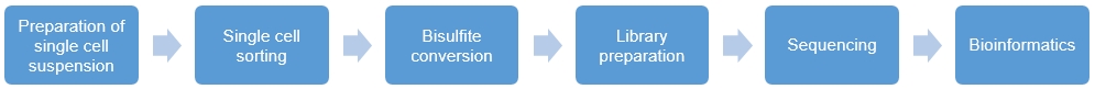 Fig.2 Single-cell WGBS seq workflow. (Creative Biolabs Original)