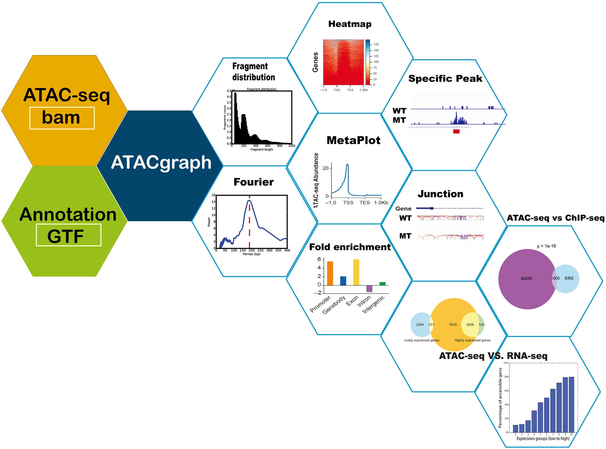 Fig.1 Analysis modules of ATAC-seq.