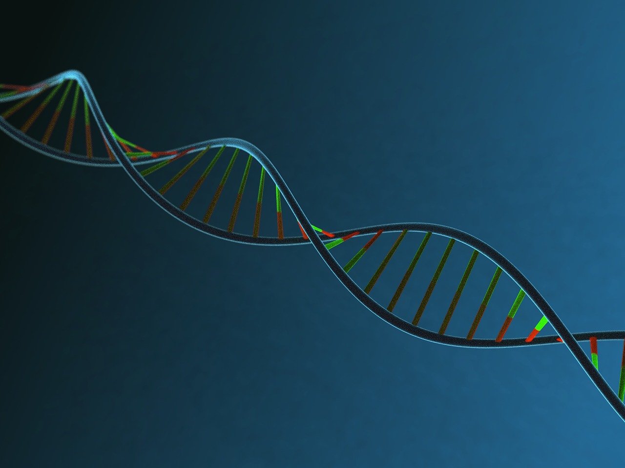 Single Cell Sequencing Service for Cancer