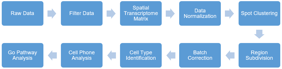Spatial Transcriptome Sequencing for Cancer 1