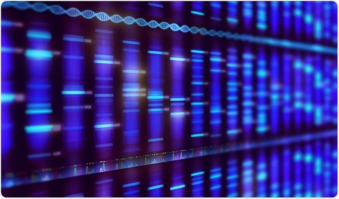 Targeted Sequencing Service