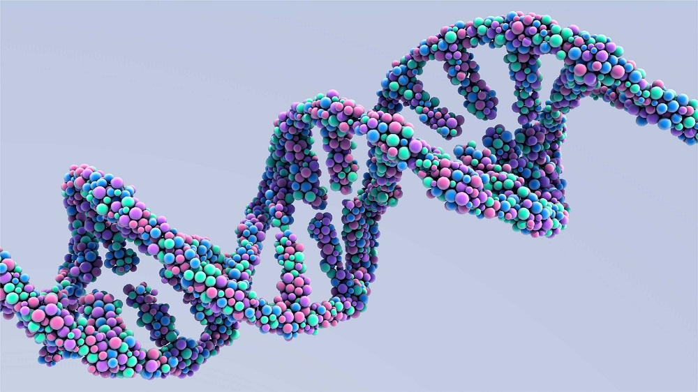 NGS-Based Immuno-Oncology Research (Creative Biolabs Authorized)