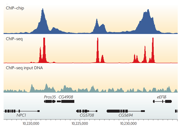 Examples of the profiles generated by ChIP-seq and ChIP-chip. (Park, 2009)