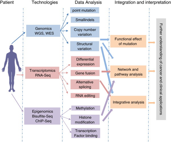 The workflow of integrating omics data in cancer research and clinical application.
