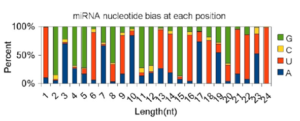 miRNA nucleotide bias at each position.