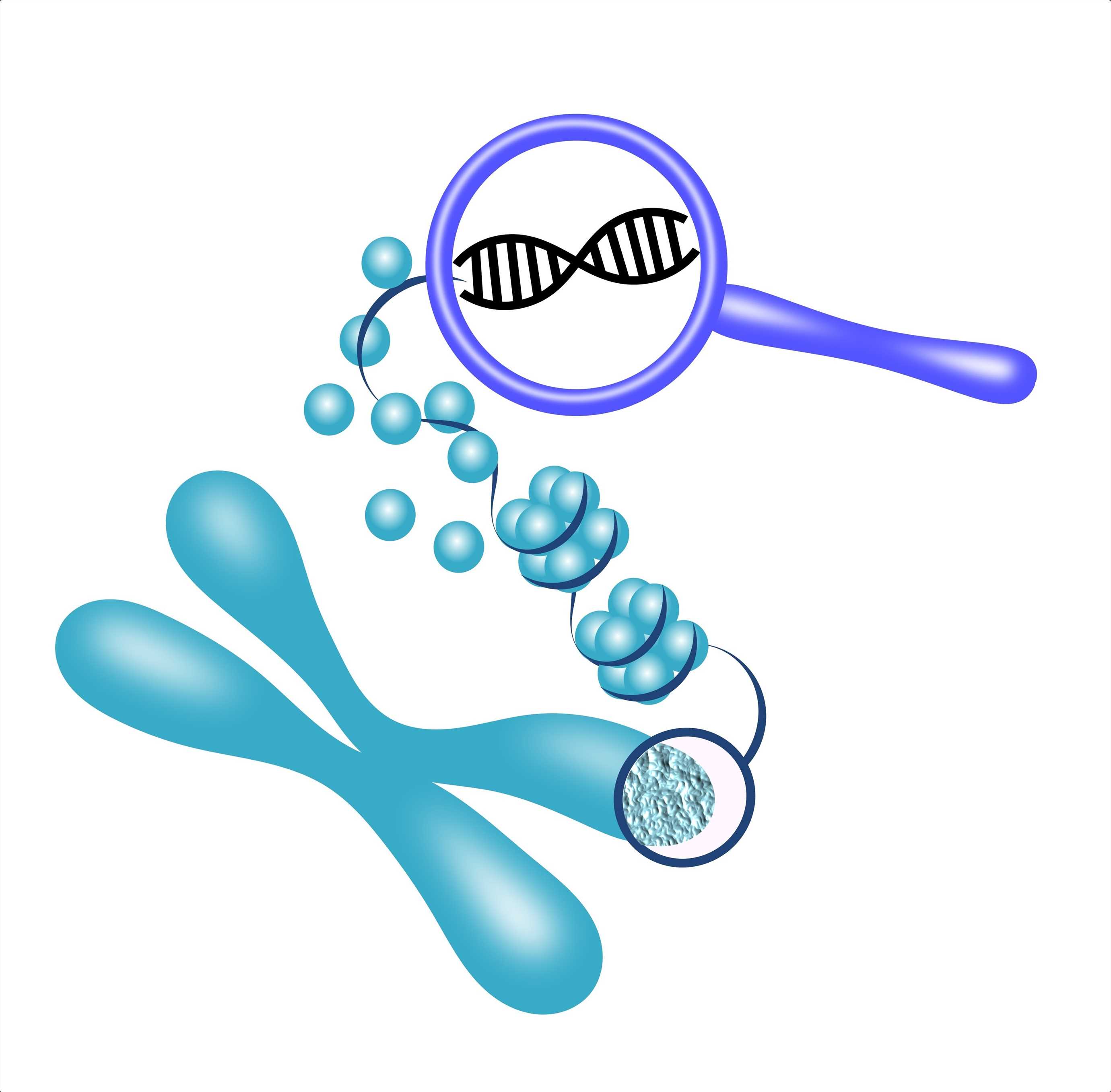 Immune Repertoire Sequencing (Rep-Seq) Service for Cancer