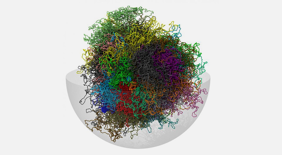 Three-dimensional (3D) Genomics Service