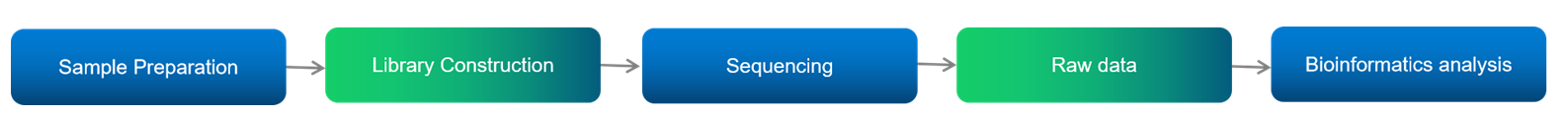 Targeted methylation seq workflow. (Creative Biolabs Original)