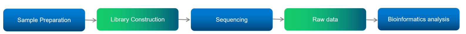 Workflow of targeted methylation sequencing service.