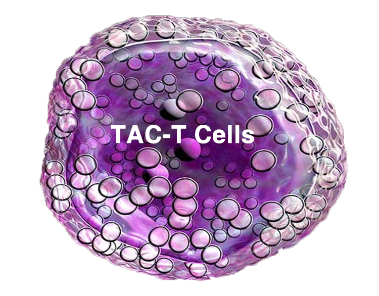 Main Types of TAC-Specific Products
