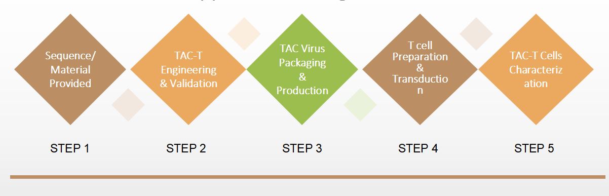 TAC-T Therapy Service Platform Workflow.