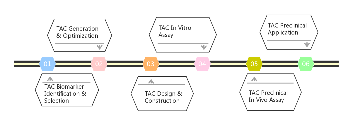 One-stop Solution of TAC Engineered T Cell Development Services.