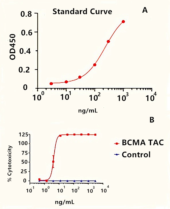The Detection Example Result of BCMA-TAC T Cell.