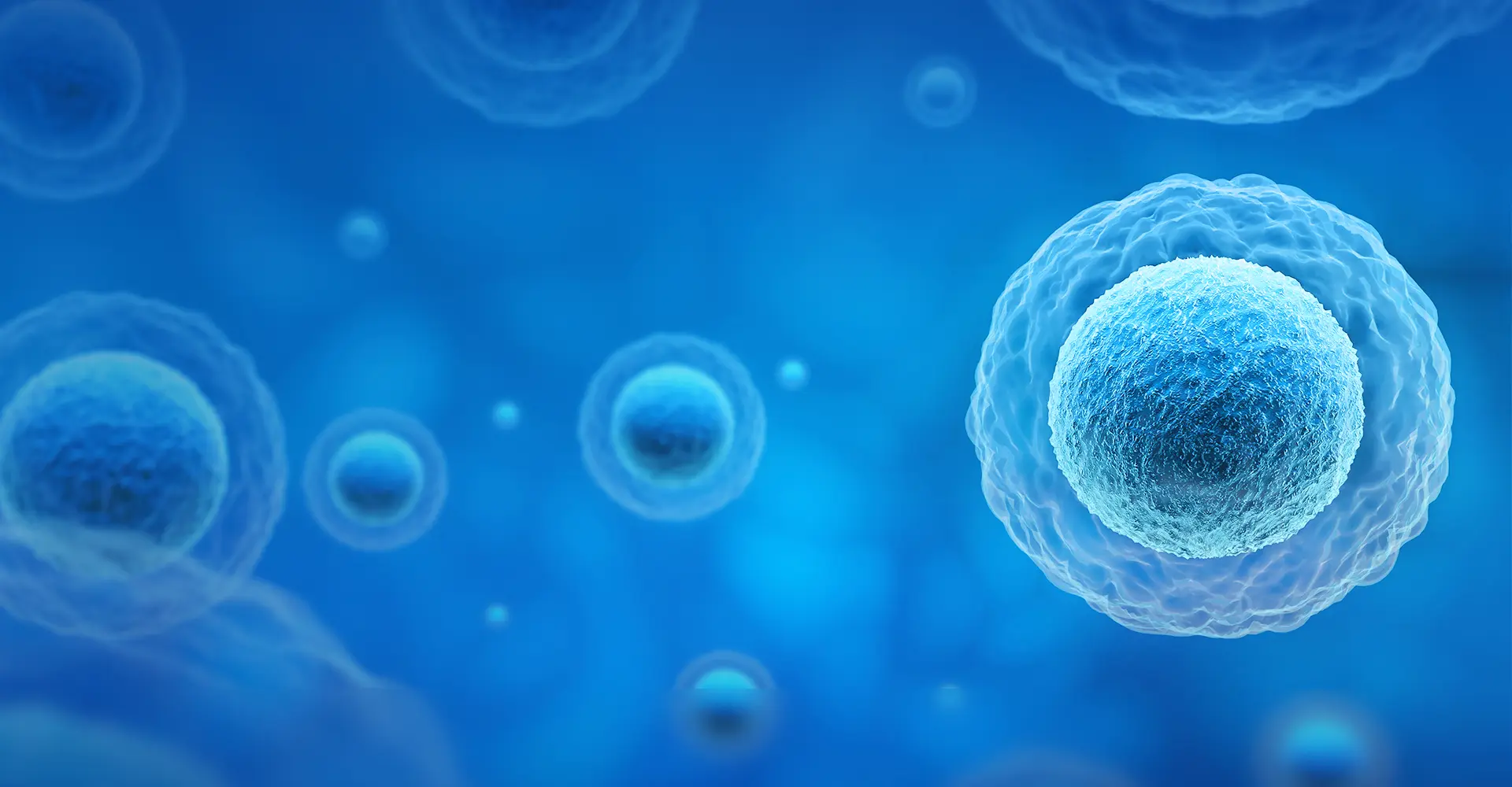 Targeted Delivery for Modern Therapeutics